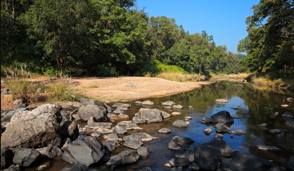 Kanha National Park, , Kerala - Vushii.com Kanha National Park, , Kerala - Vushii.com